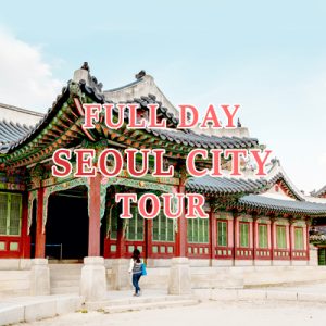 Full Day Seoul City Tour