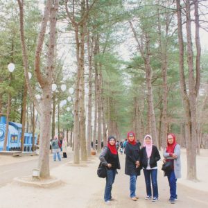 3/30-4/3 Korea Tour from Singapore