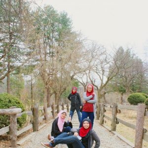 3/30-4/3 Korea Tour from Singapore