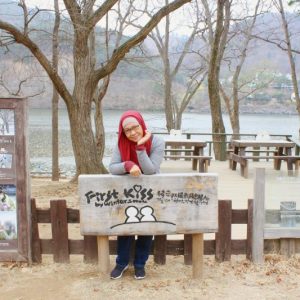 3/30-4/3 Korea Tour from Singapore