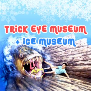 Trick Eye Museum + Ice Museum in Seoul