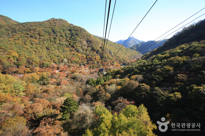 Naejangsan Nationalpark