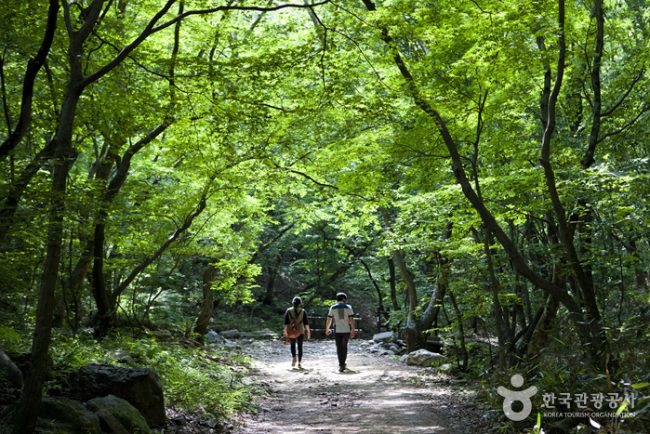 Naejangsan National Park