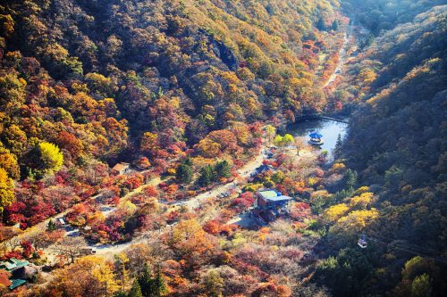 Naejangsan National Park