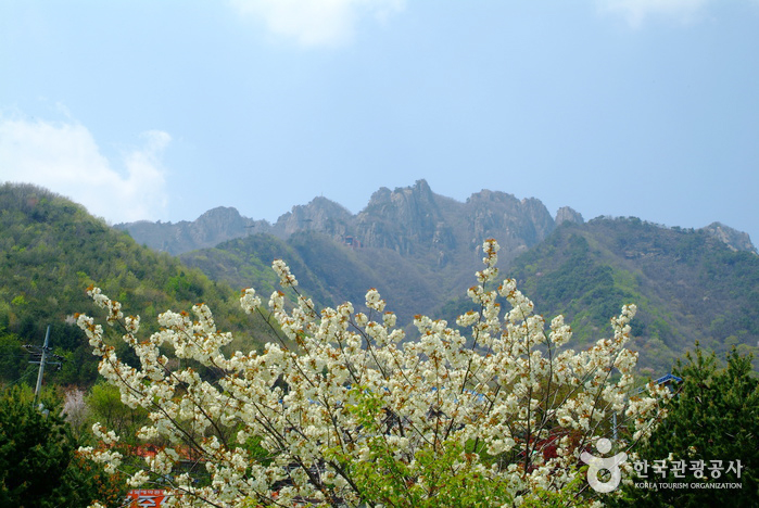 Daedunsan Provinspark (Jeonbuk-sektionen)