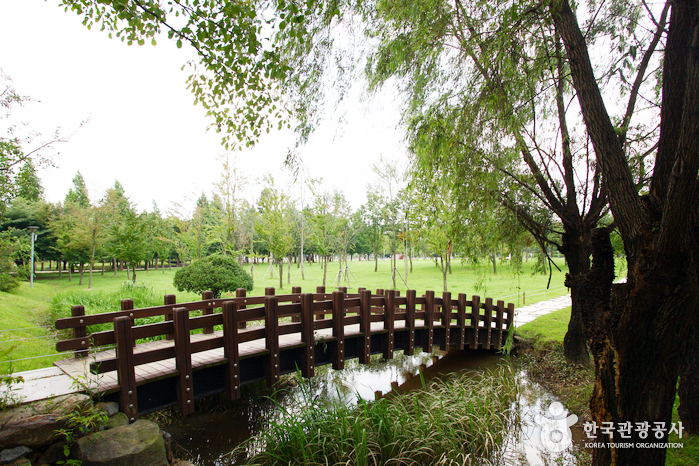 Seoul Skov