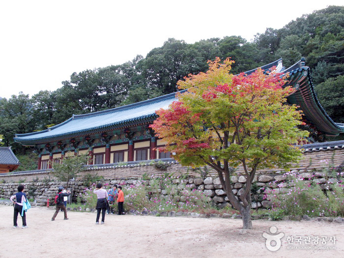 Храм Синхынса (Сораксан)