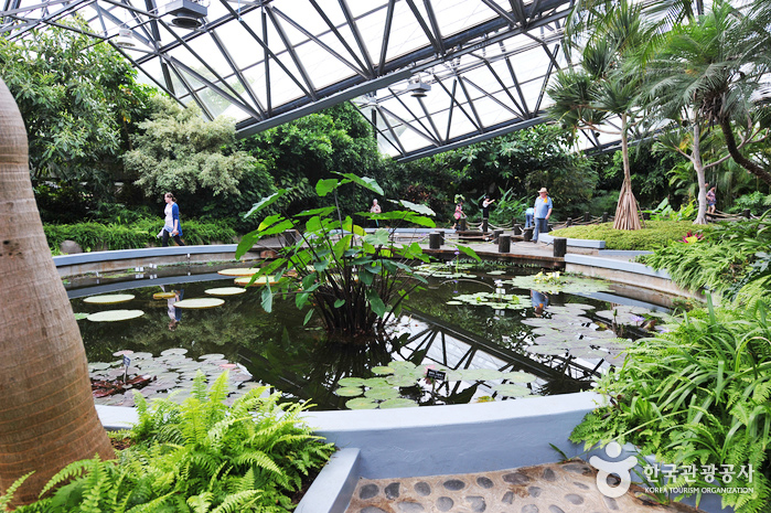 Ботанический сад Ёмидзи