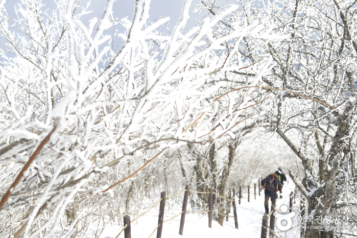 Odaesan National Park