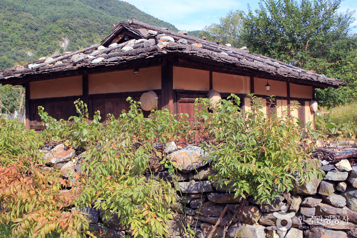 Народная деревня Чонсон Араричон