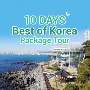 10 Days Best of Korea Package Tour