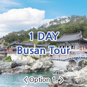 1Day Busan Tour - Option 1.