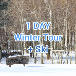 Korea winter snow private tour package