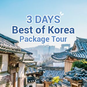 3 Days Best of Korea Package Tour