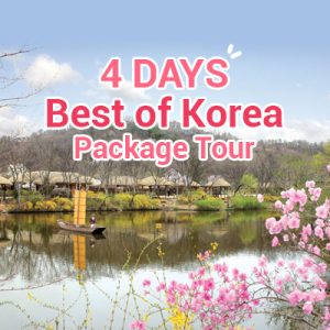 4 Days Best of Korea Package Tour