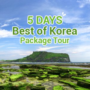 5 Days Best of Korea Package Tour