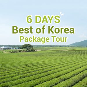 6 Days Best of Korea Package Tour