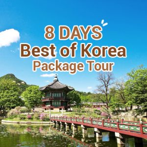 8 Days Best of Korea Package Tour