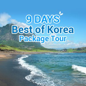 9 Days Best of Korea Package Tour