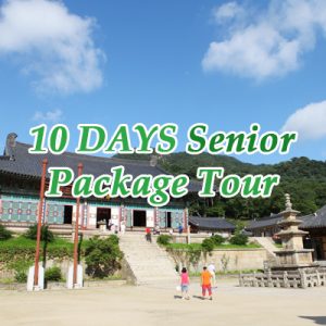 10 Days Senior Package Tour