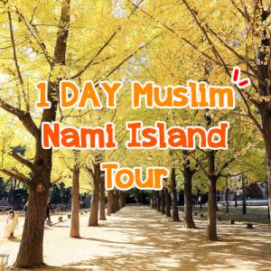 1Day Muslim Nami Island Tour