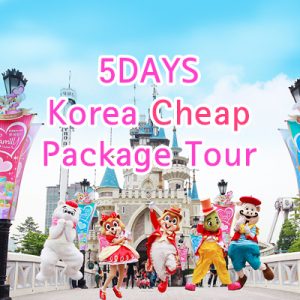 cheap korea tour package from singapore