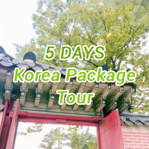5 Days Korea Package Tour