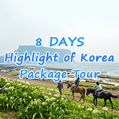 8 Days Highlight of Korea Package Tour