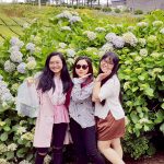 6/5-6/7 Jeju Tour from Singapore