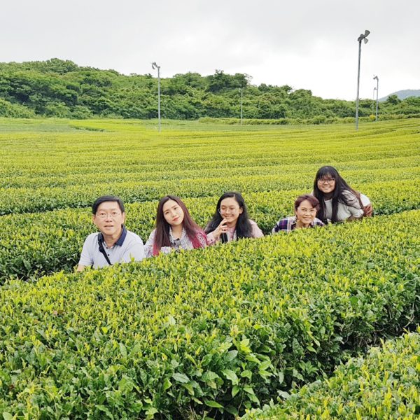 6/5-6/7 Jeju Tour from Singapore