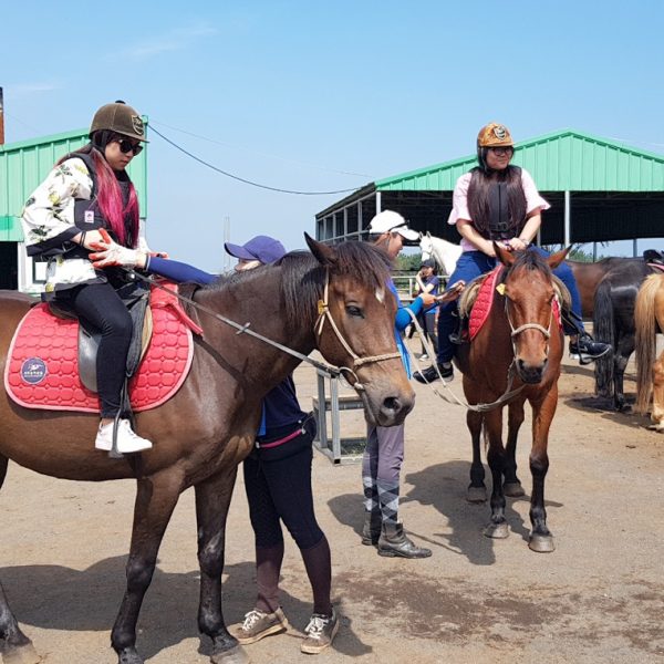 6/5-6/7 Jeju Tour from Singapore