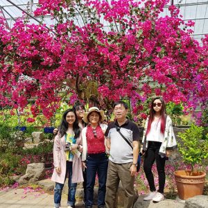 6/5-6/7 Jeju Tour from Singapore