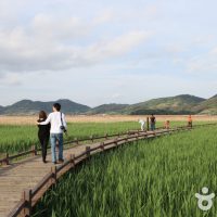 Suncheonman Bay Eco-Museum