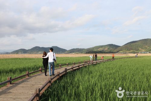 Suncheonman Bay Eco-Museum