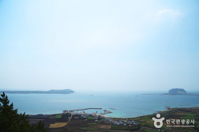 종달리해안도로