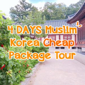 4 Days Muslim Korea Cheap Package Tour