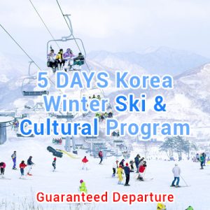 5 DAYS Korea Winter Ski Experience Tour Package