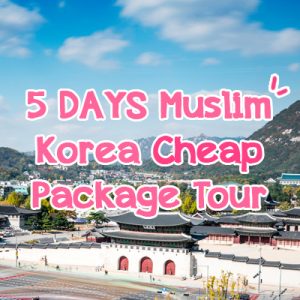5 Days Muslim Korea Cheap Package Tour