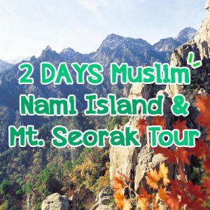 5 Days Muslim Nami Island & Mt. Seorak Tour