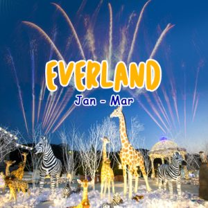 Everland(Jan-Mar)