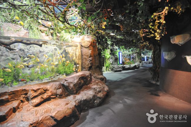 SEA LIFE Busan Aquarium