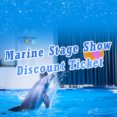 Marine Stage Show Discount Ticket