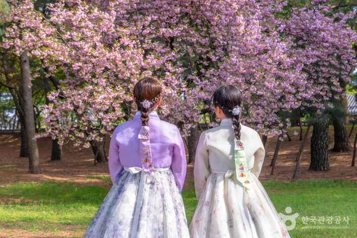 Hanbok