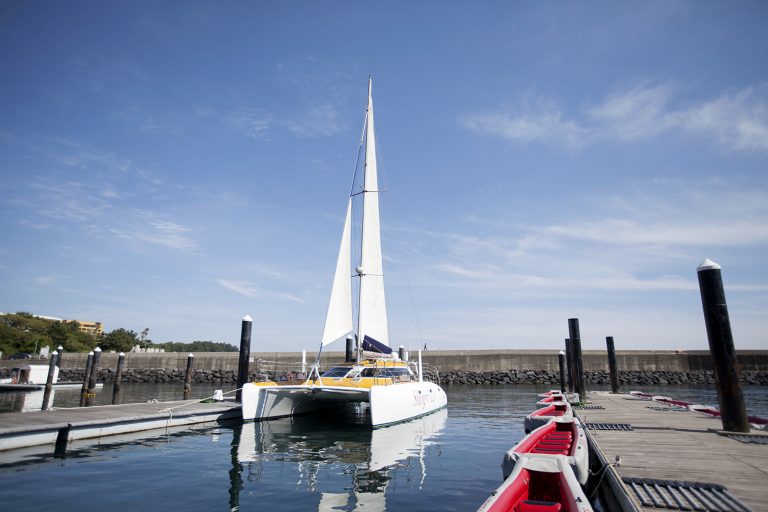 Jeju Public Yacht Tour 60 min course Fishing and eating raw fish