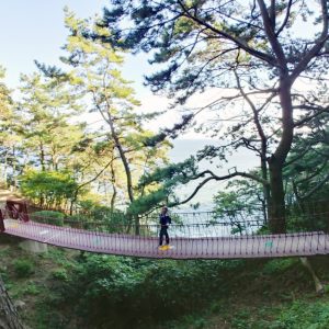 9/9-9/15 Seoul & Busan Tour from Malaysia