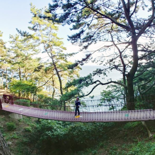 9/9-9/15 Seoul & Busan Tour from Malaysia