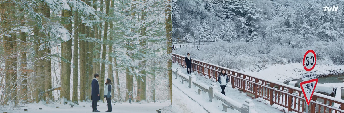 월정사 해탈교와 전나무숲