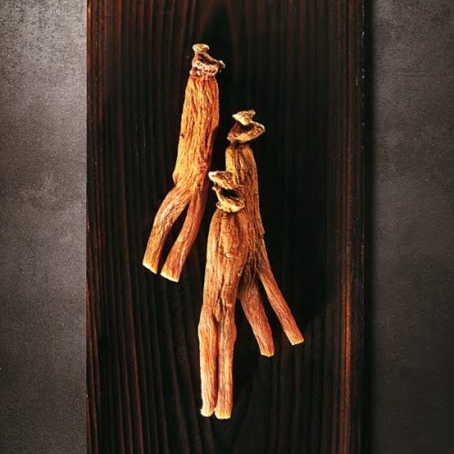 Junggwanjang Red Ginseng