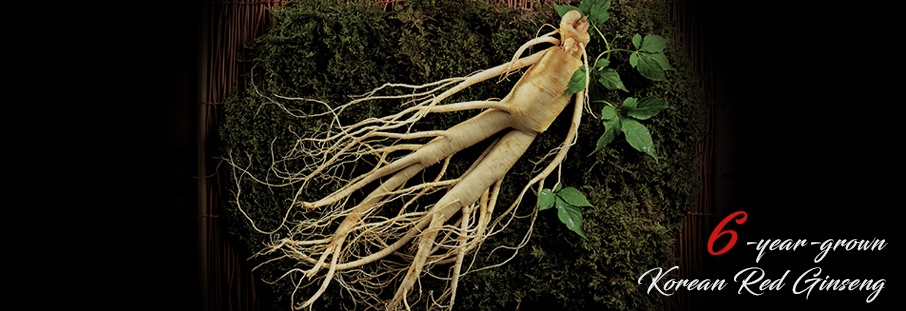 The Power of Mature, Six-year-grown Korean Red Ginseng