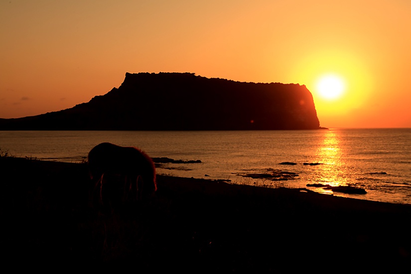 6 Best Places to See the Sunrise in Korea - Seongsan Ilchulbong Peak